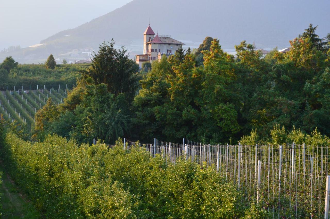 Apartament Il Nido Dei Sogni Sanzeno Zewnętrze zdjęcie